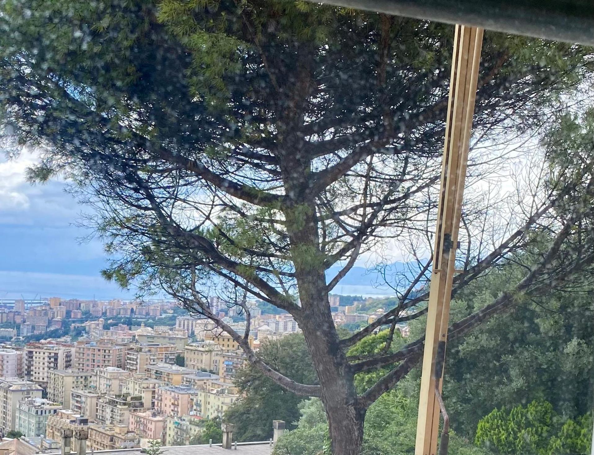 Genoa View & Hiking In Italian Riviera Apartment Bagian luar foto